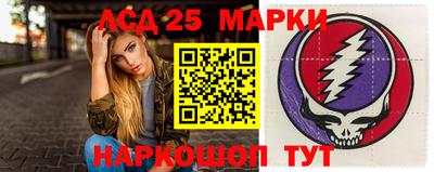 шишки Кандалакша