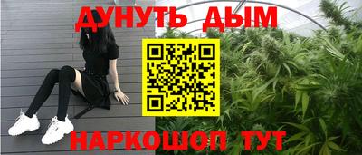 шишки Кандалакша