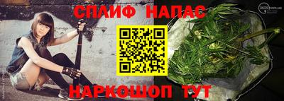 шишки Кандалакша