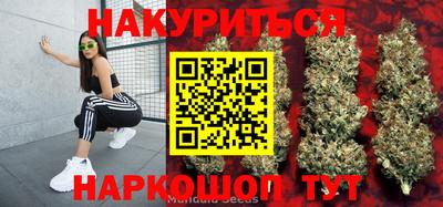 a pvp Камышлов
