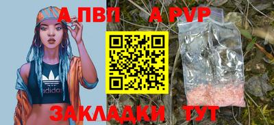 a pvp Камышлов