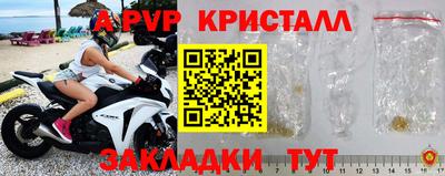 шишки Кандалакша