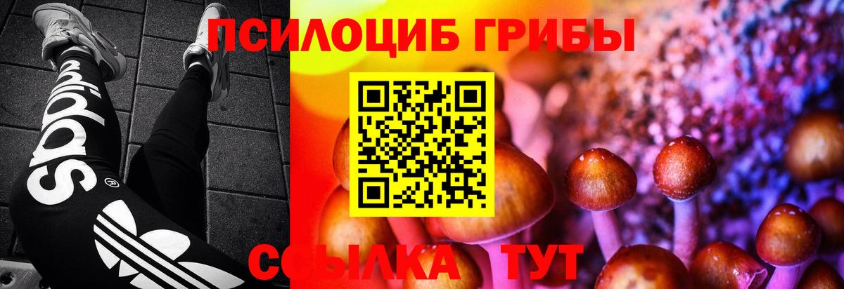 Галлюциногенные грибы Magic Shrooms Янаул